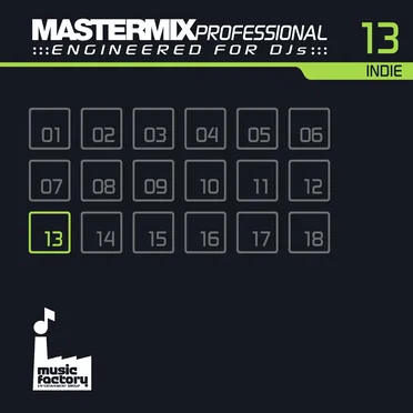 Mastermix Professional Engineered for DJs 13: Indie by Various Artists - album cover