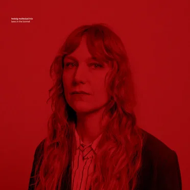 Hedvig Mollestad Trio