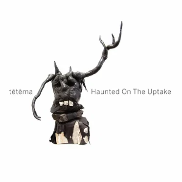 Haunted On The Uptake by tētēma - album cover