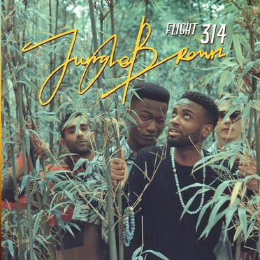 Flight 314 by Jungle Brown - album cover