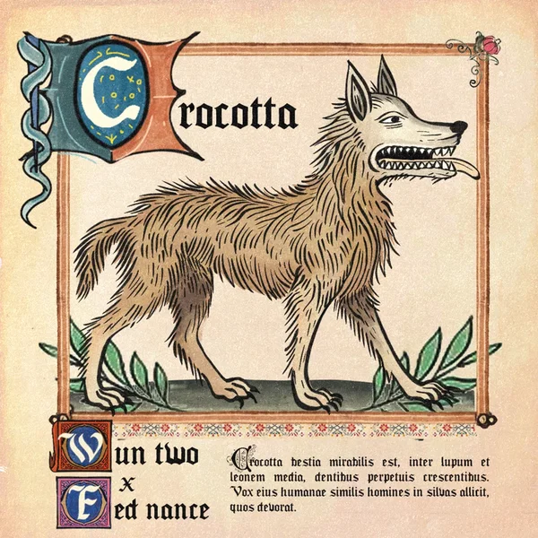 crocotta