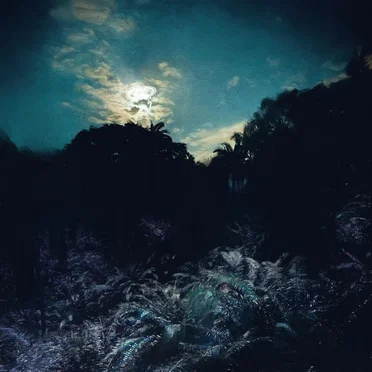 when darkness fades