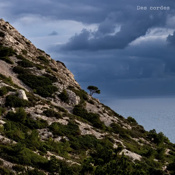 Des cordes