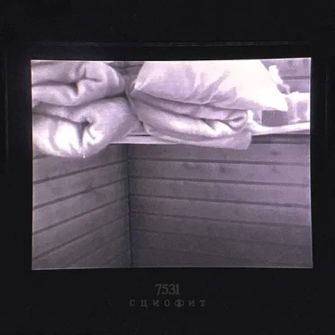 СЦИОФИТ by project7531 - album cover