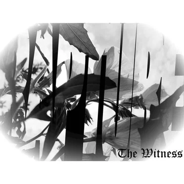 Rapture by The Witness - album cover