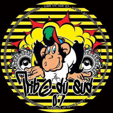 Tribe Du Sud 07 by Various Artists - album cover