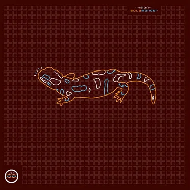 Salamander