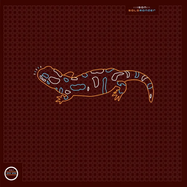 Salamander