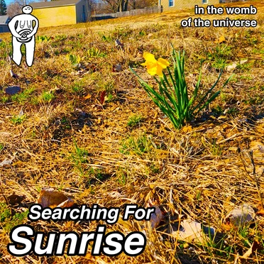 Searching For Sunrise by IN THE WOMB OF THE UNIVERSE - album cover