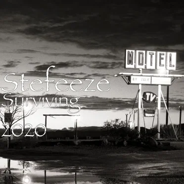 Surviving 2020 by Stefeeze - album cover