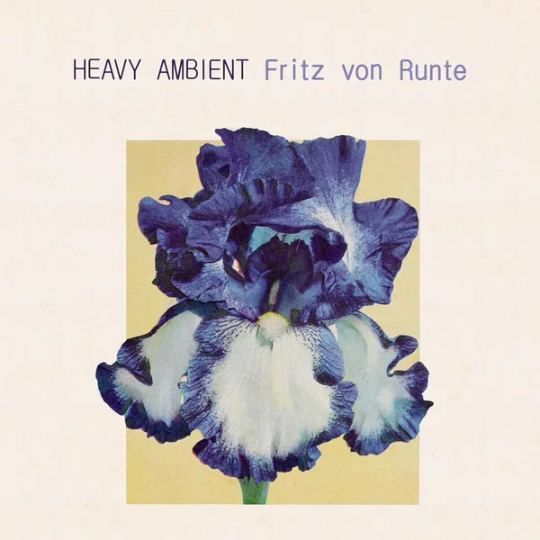 Heavy Ambient