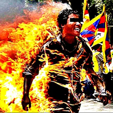 Uv Ursa Spr / Aural Bile