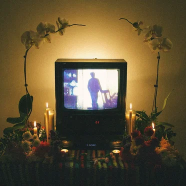 Boring Ecstasy: The Bedroom Pop of Orchid Tapes by Various Artists - album cover