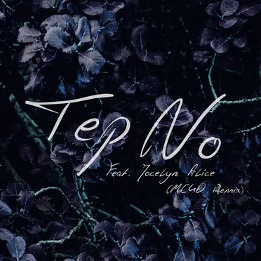 Never Been Hurt Before (MC4D remix)