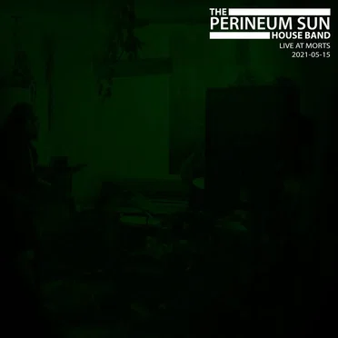 Live at Morts 2021-05-15 by The Perineum Sun House Band - album cover