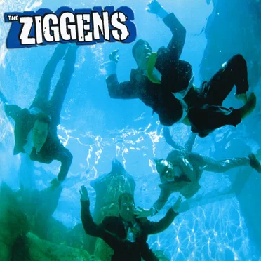 The Ziggens