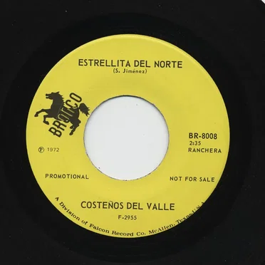 Los Costeños del Valle