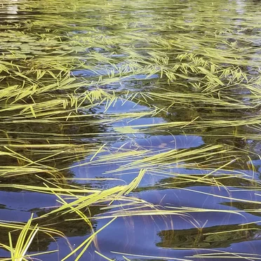 into the setting sun