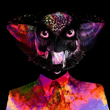 Mirror by Robots Don’t Sleep - album cover