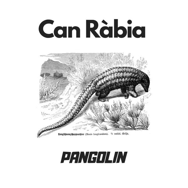 Pangolin