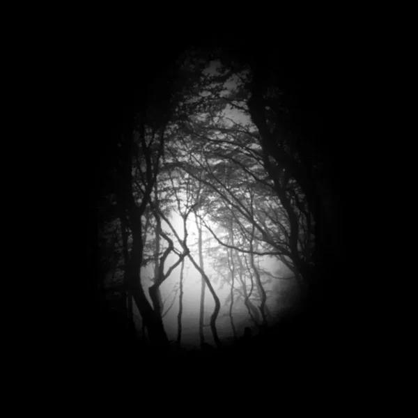 Knell