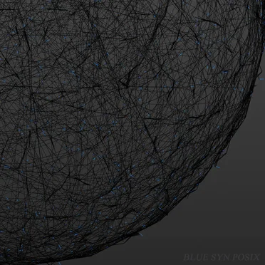 BLUE SYN POSIX