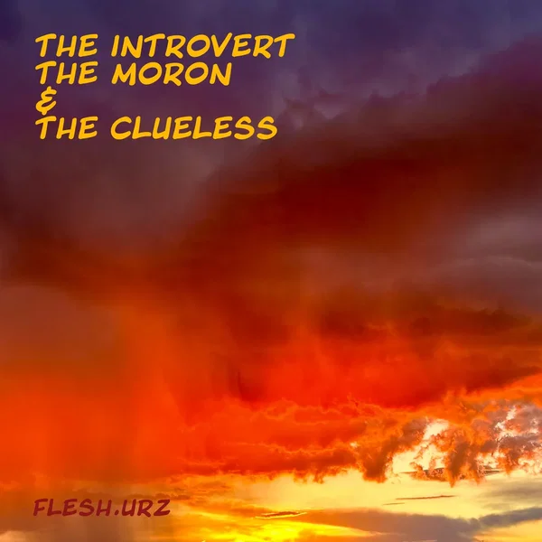 The Introvert, the Moron and the Clueless