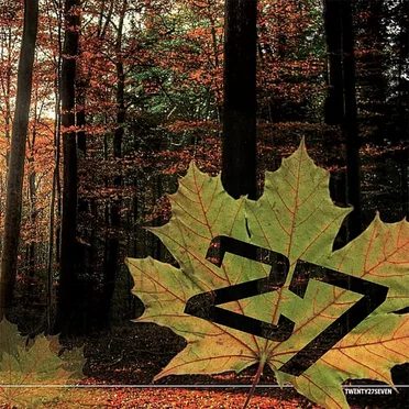 In a Perfect World (Re‐Spin)