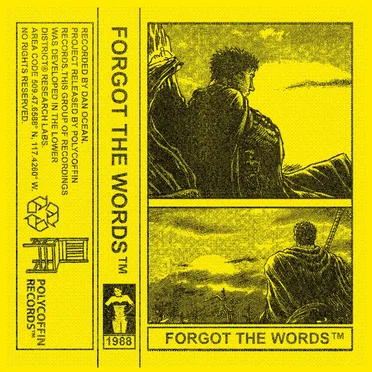 Forgot the Words