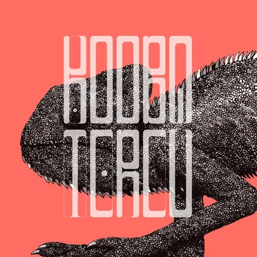 Bakla Horani by Kooba Tercu - album cover