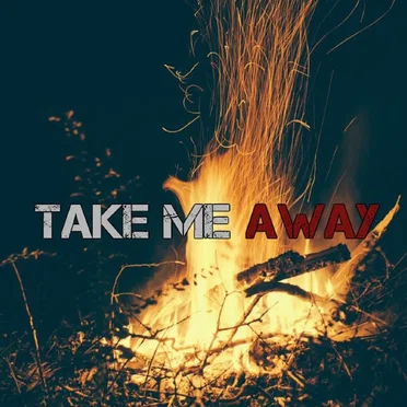 Take Me Away by Des Panik! - album cover