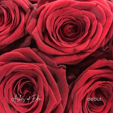 Debut by Ashes of Eden - album cover