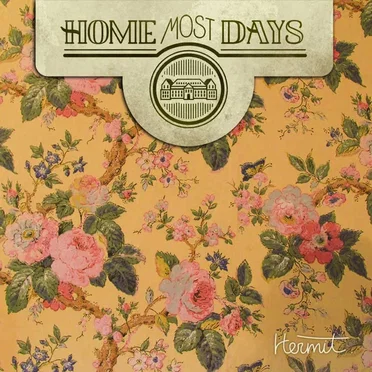 The Light by Home Most Days - album cover