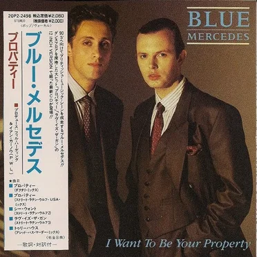 I Want to Be Your Property