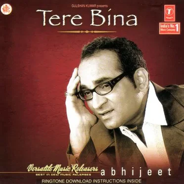 Tere Bina