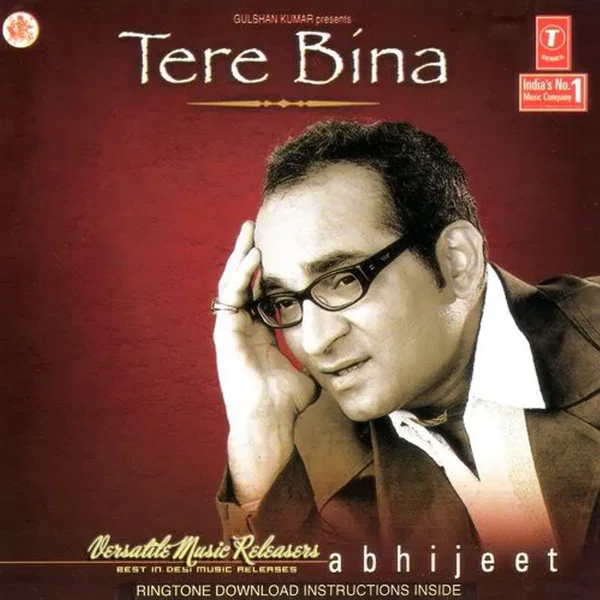Tere Bina