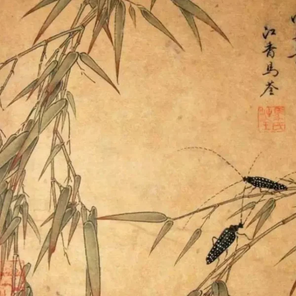 小さな命の重さ