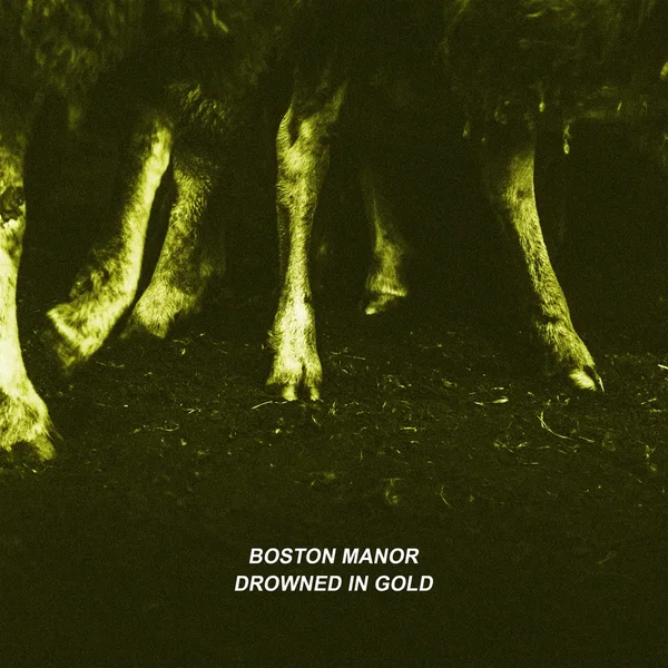 Drowned in Gold