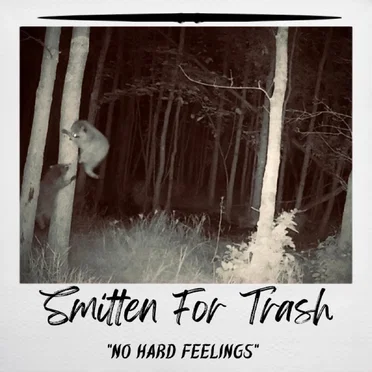 No Hard Feelings