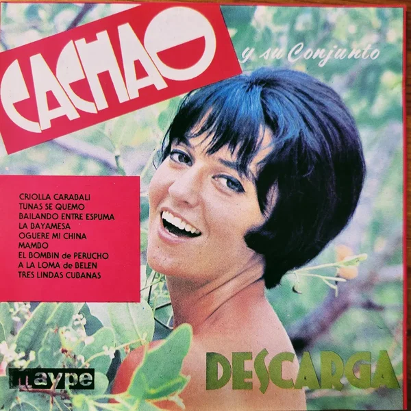 Descarga