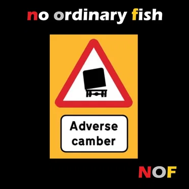 Adverse Camber