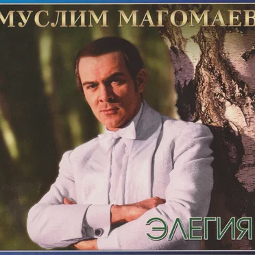 Элегия