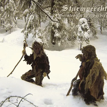 Geister im Waldgebirg
