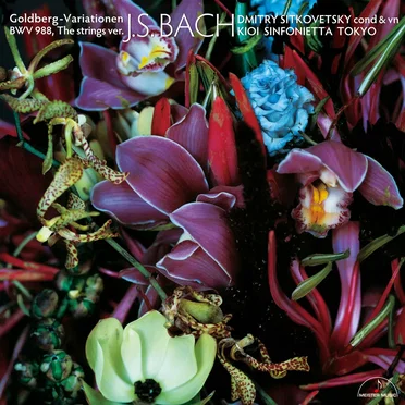 Goldberg-Variationen BWV988, The strings version