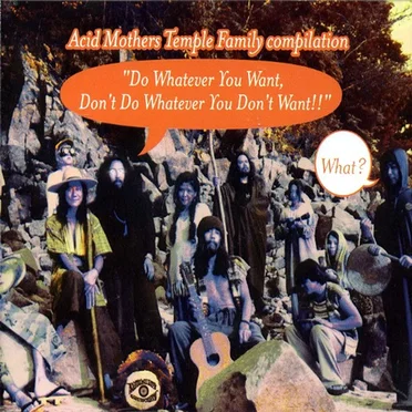 Do Whatever You Want, Don’t Do Whatever You Don’t Want!! by Various Artists - album cover