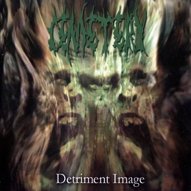 Detriment Image by Cemetery - album cover