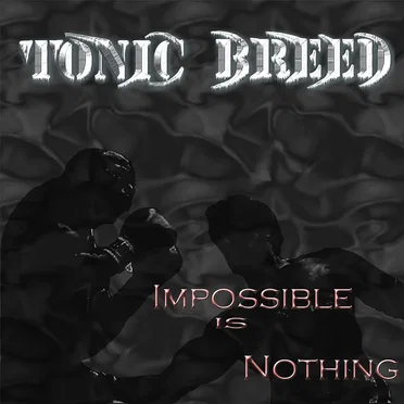 Impossible is Nothing