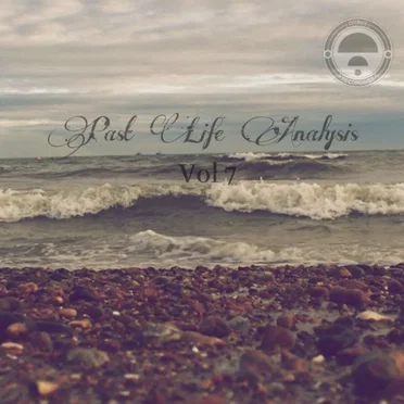 Past Life Analysis 7 by Various Artists - album cover
