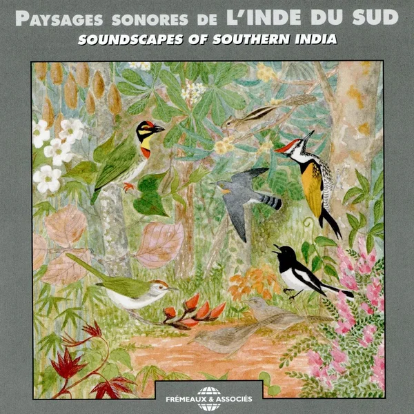 Paysages sonores de l’Inde du Sud / Soundscapes of Southern India