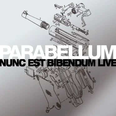 Nunc est bibendum live